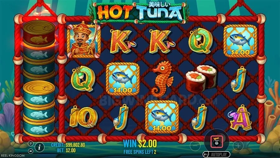 777plus Live Dealer Setup