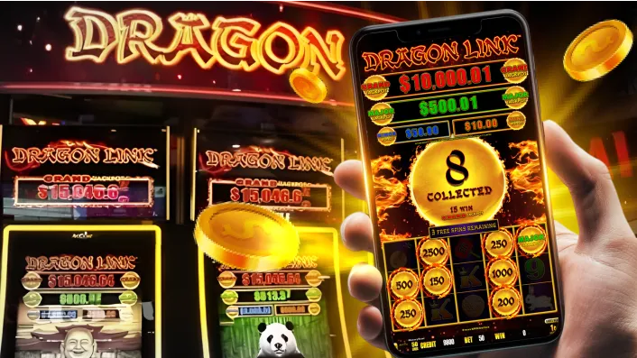 777plus Online Bingo Guide